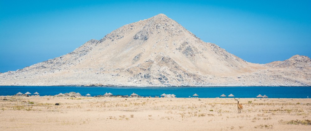 Isla Pan de Azúcar | Parque Nacional Pan de Azúcar