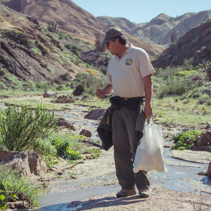 Nivaldo Castillo | Guardaparque | Parque Nacional Pan de Azúcar