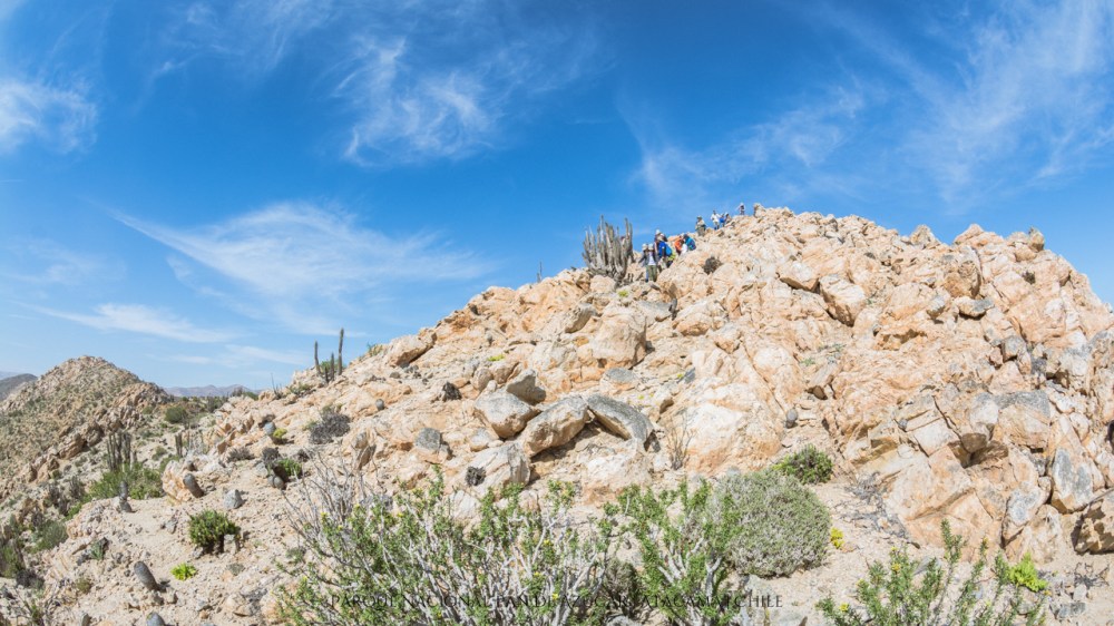 Parque Nacional Pan de Azúcar