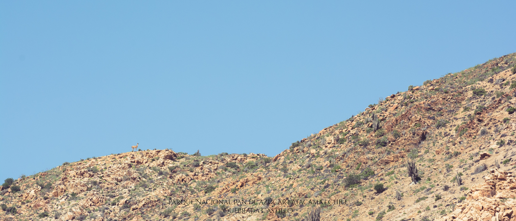 Quebrada Castillo | Parque Nacional Pan de Azúcar