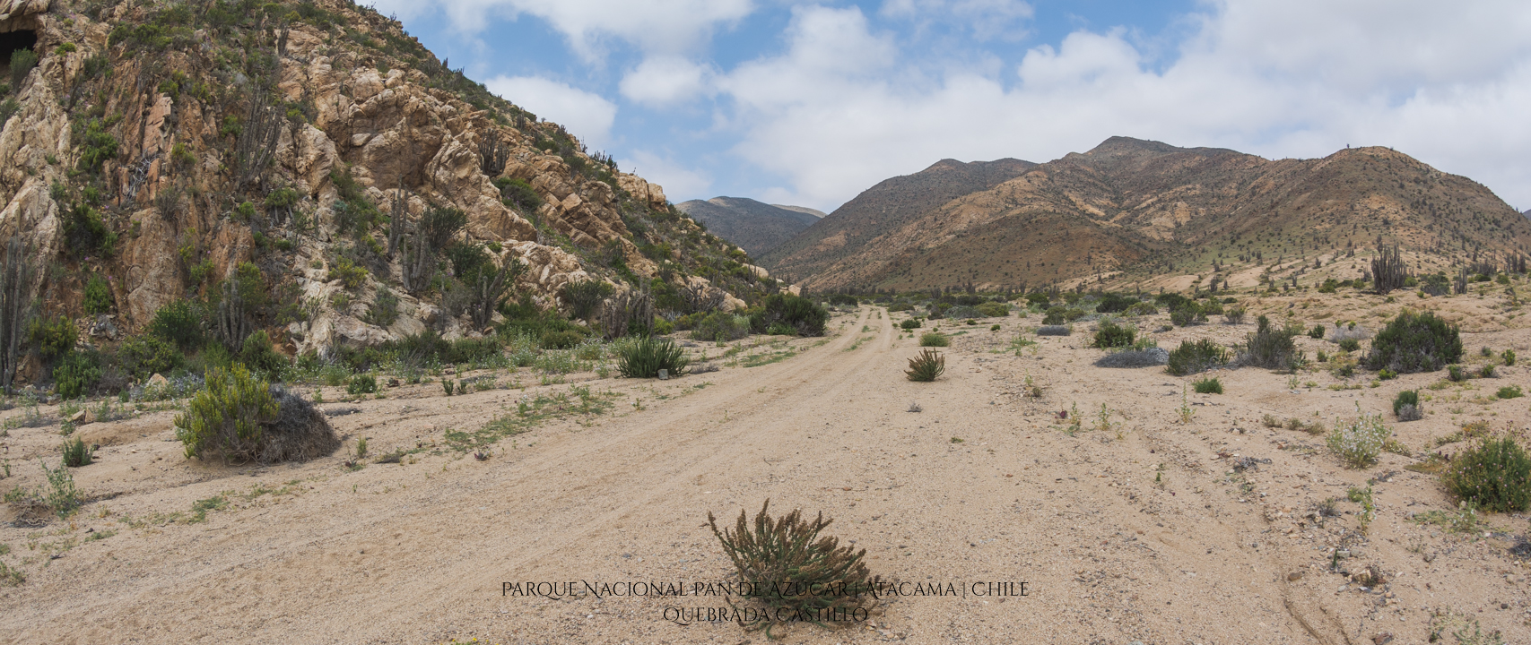 Quebrada Castillo | Parque Nacional Pan de Azúcar