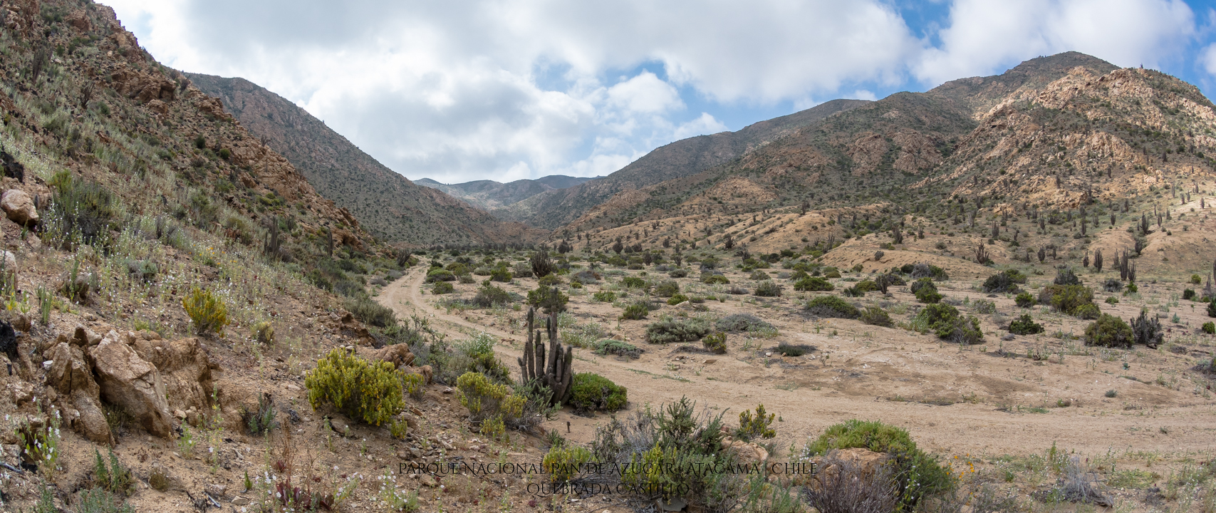Quebrada Castillo | Parque Nacional Pan de Azúcar