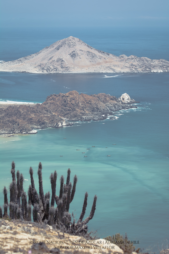 Mirador Maximo Villaflor | Parque Nacional Pan de Azúcar