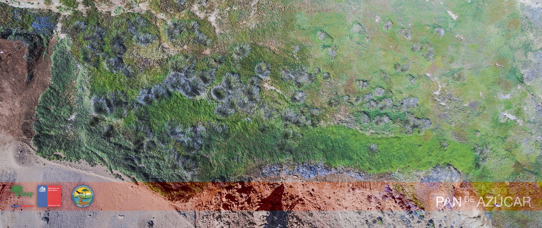 Aguada Esmeralda | Parque Nacional Pan de Azúcar