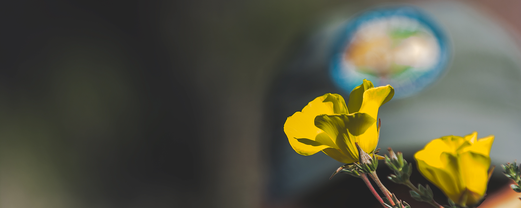 Guardaparques de Atacama